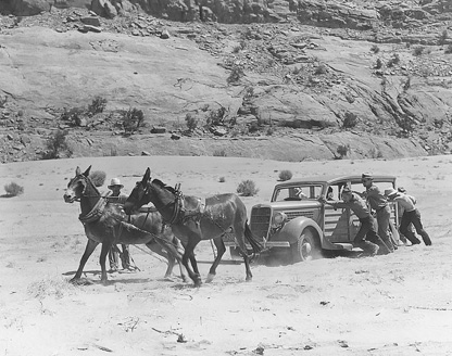 Mules pulling a car